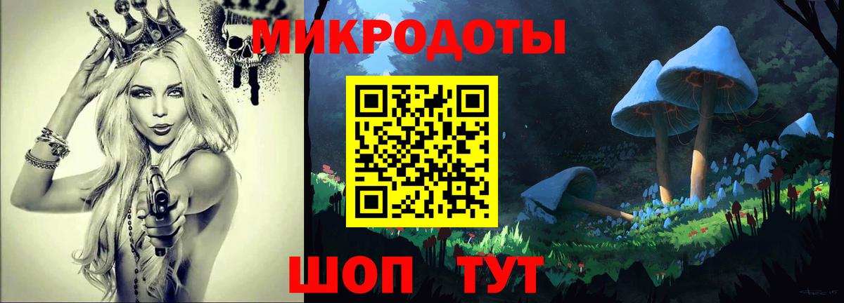 Галлюциногенные грибы Cubensis  Вход с VPN  Кировск 
